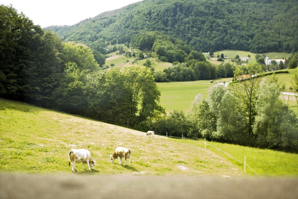 Tourist Farm Mraz Villa Podčetrtek Exteriör bild