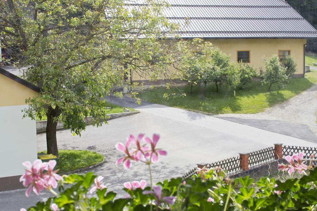 Tourist Farm Mraz Villa Podčetrtek Exteriör bild